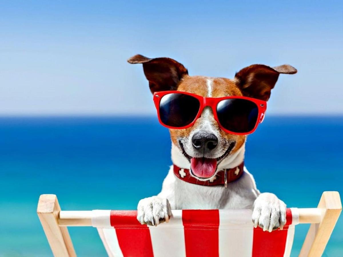 Fabulous 2 Bedroom Dog Friendly Chalet 5 Min Walk To Beach, Nr Gt Yarmouth & Norfolk Broads Scratby المظهر الخارجي الصورة